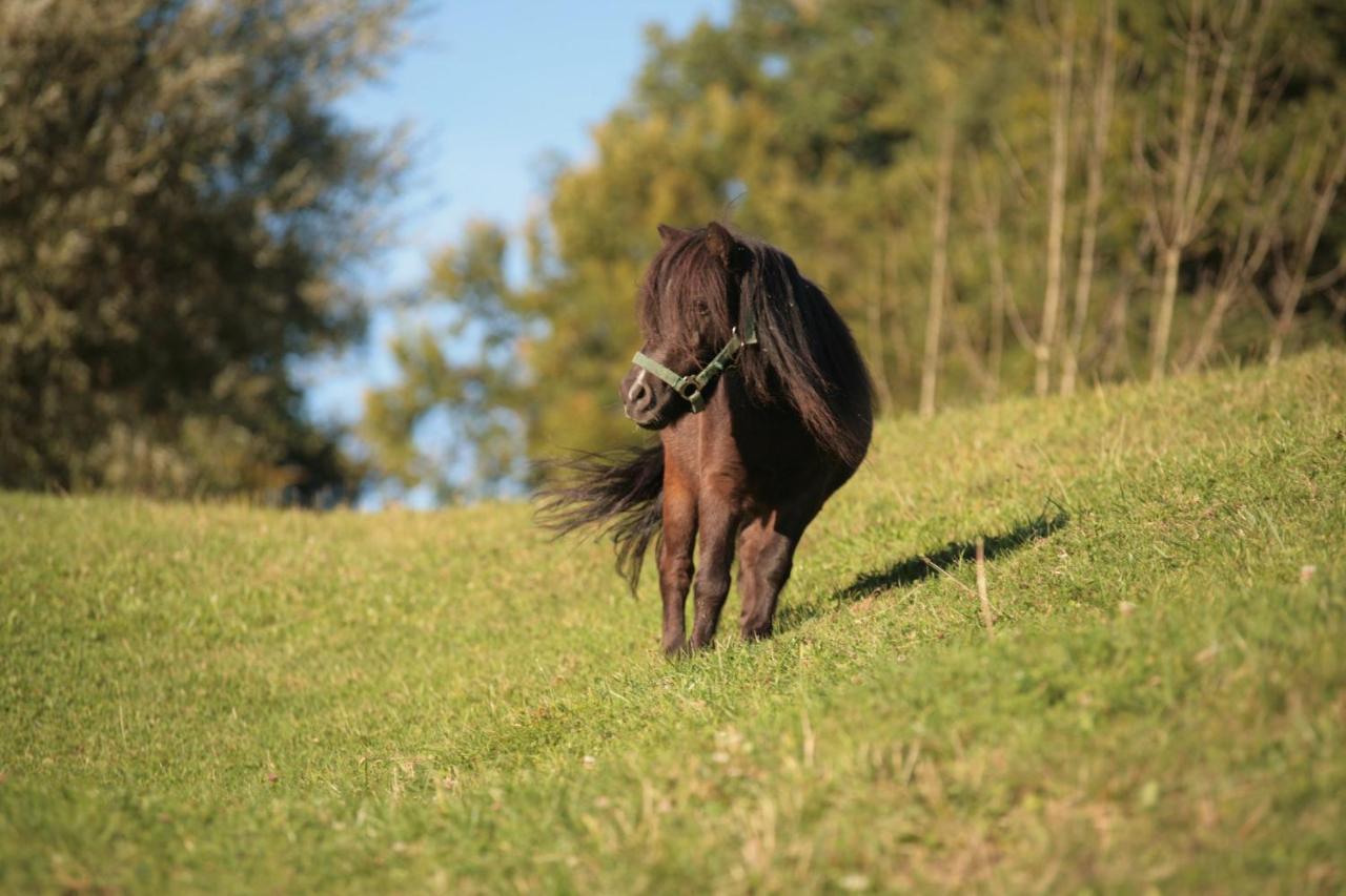 Ferienhof Muehlthal Edling エクステリア 写真