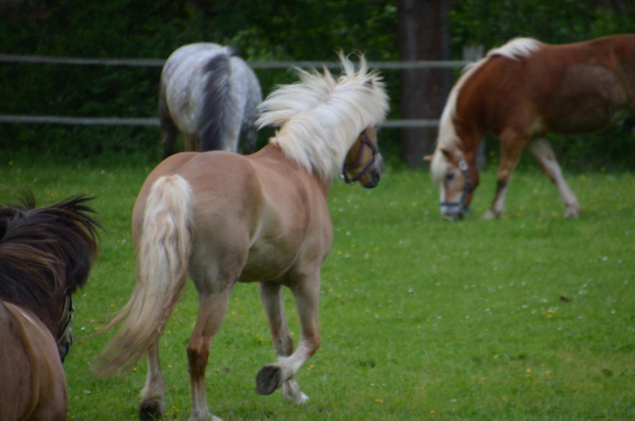 Ferienhof Muehlthal Edling エクステリア 写真